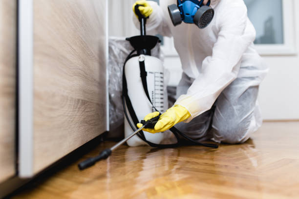 Best Residential Pest Control  in Salem, IN