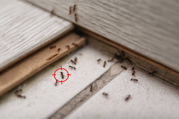 Salem, IN Pest Control Company
