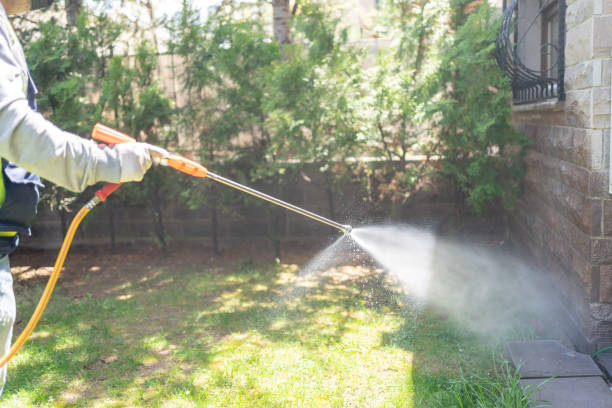 Best Emergency Pest Control  in Salem, IN