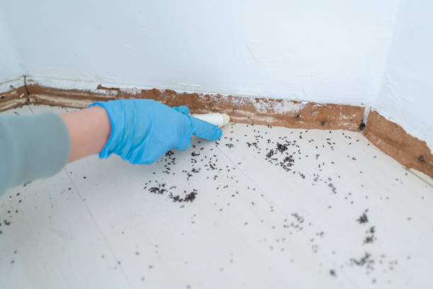 Professional Pest Control in Salem, IN
